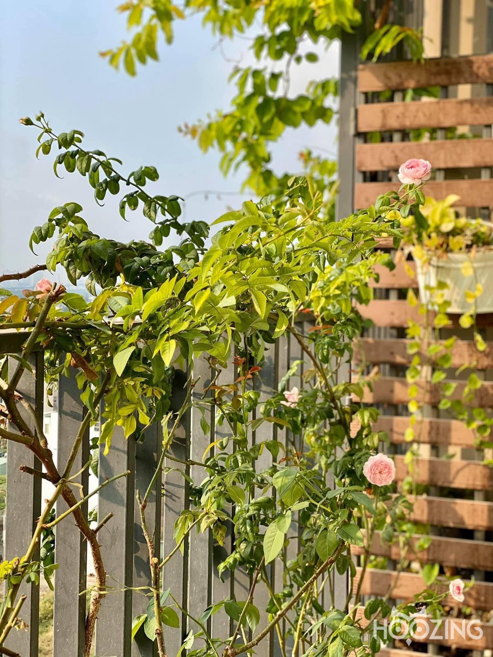 2 bedrooms Apartment in VISTA VERDE in Thu Duc, Ho Chi Minh, Vietnam No. 23330