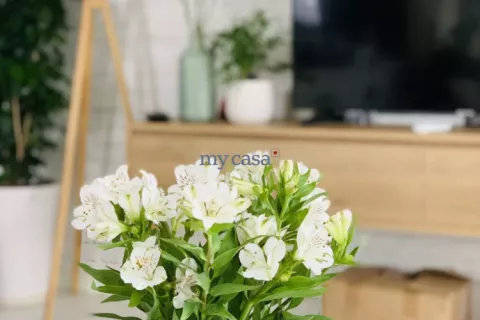 2 bedrooms Apartment in Thu Duc, Ho Chi Minh,  No. 11239 14