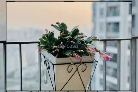 2 bedrooms Apartment in Thu Duc, Ho Chi Minh,  No. 11239 9