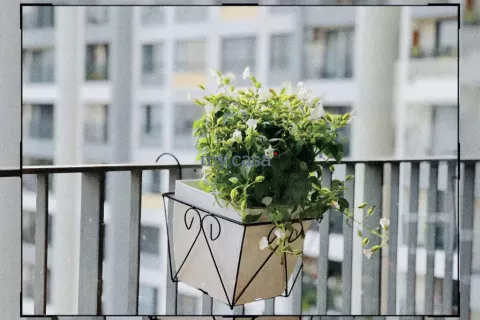 2 bedrooms Apartment in Thu Duc, Ho Chi Minh,  No. 11239 15